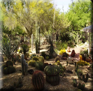 Shady Spaces